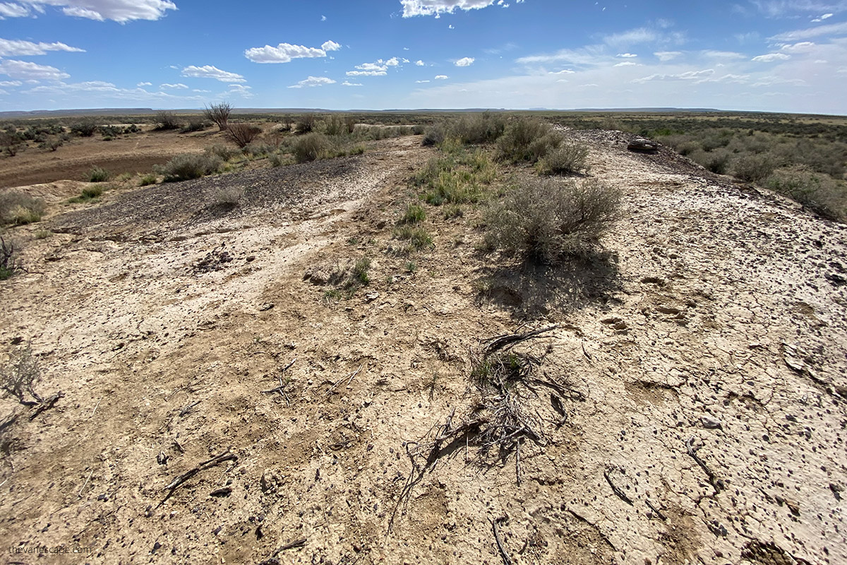 desert in New Mexico