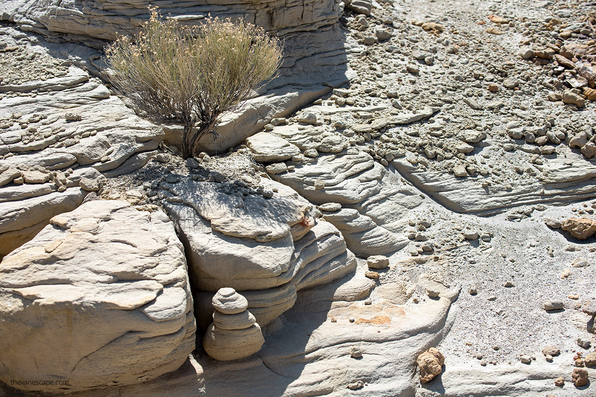 New Mexico desert