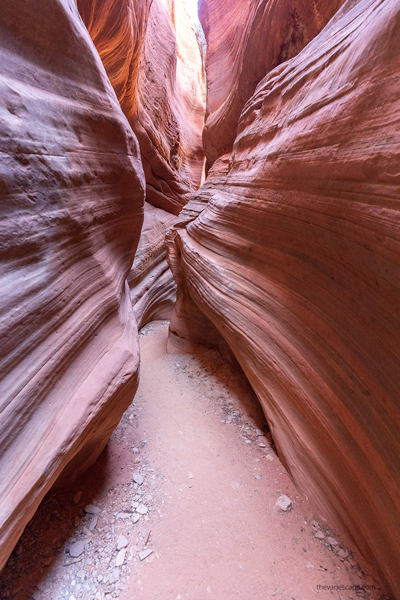 narrow walls in Red Canyon in Kanab