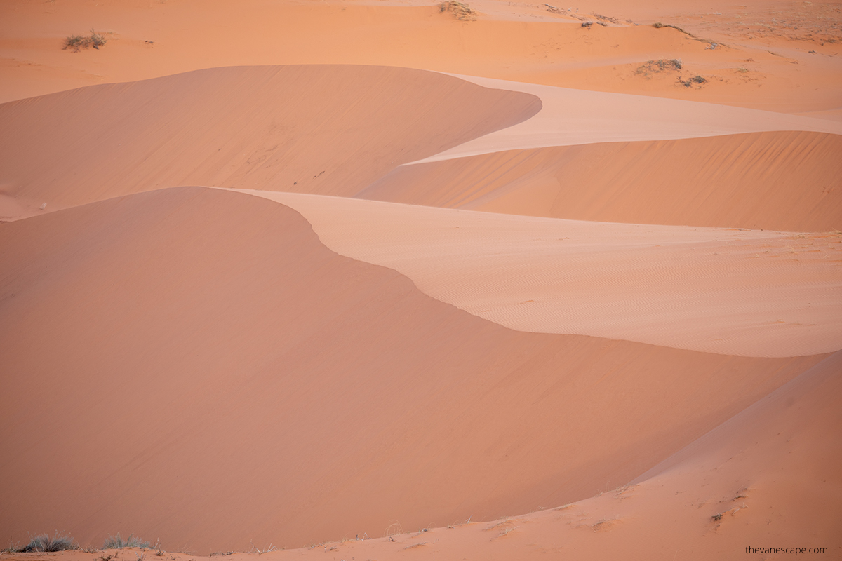 sand dunes