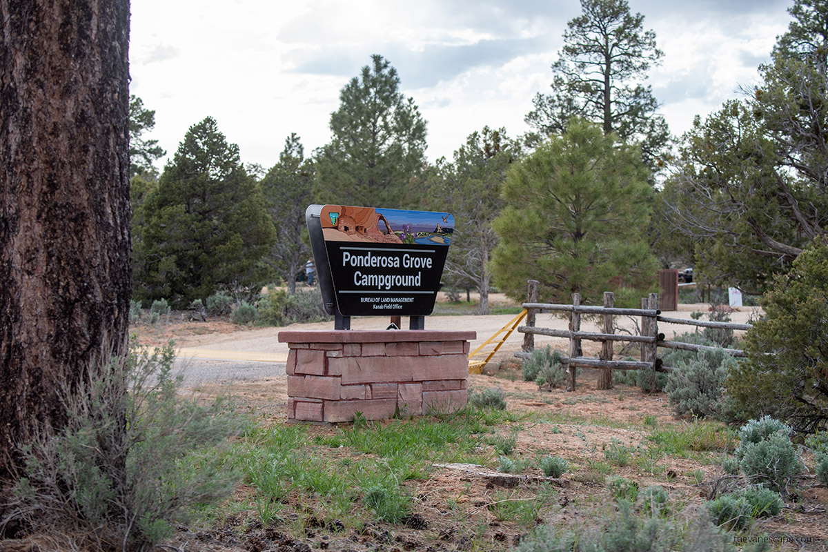 Ponderosa Grove Campground