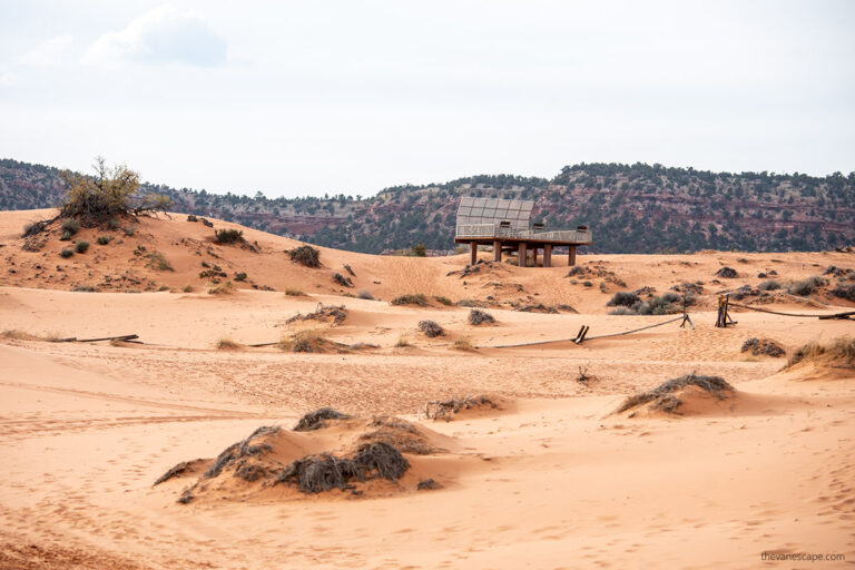 Guide To Coral Pink Sand Dunes State Park | The Van Escape