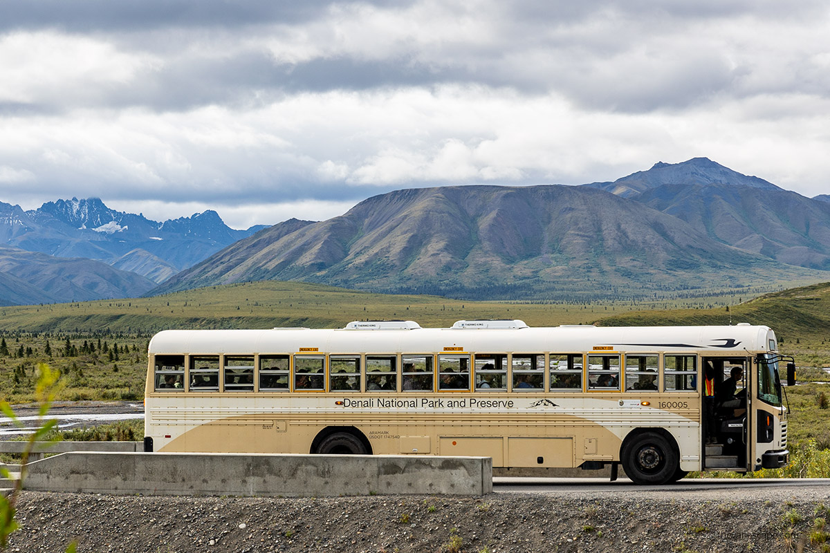 Exploring Denali National Park in 2024: Your Ultimate Guide