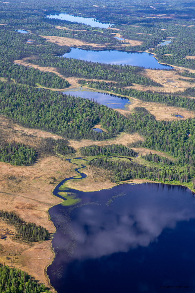 view of forests and rivers in denali during scenic flight in summer