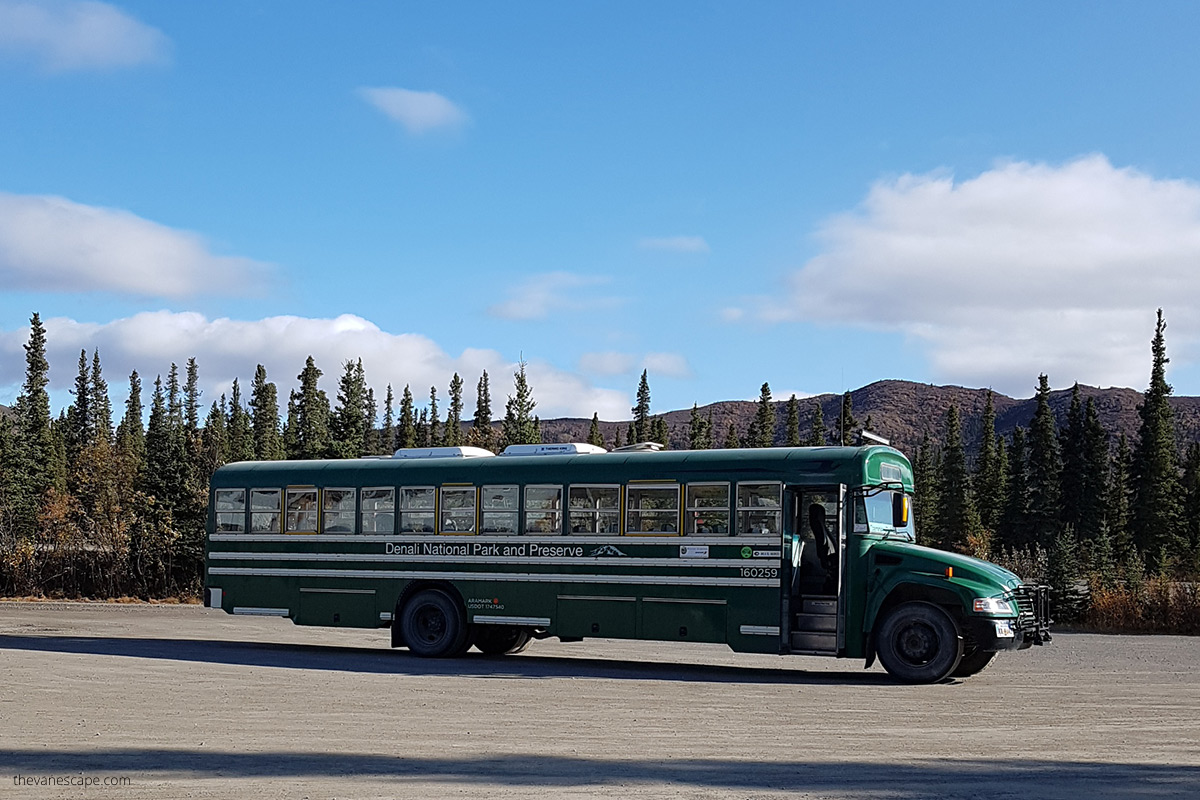 green transit bus in Denali