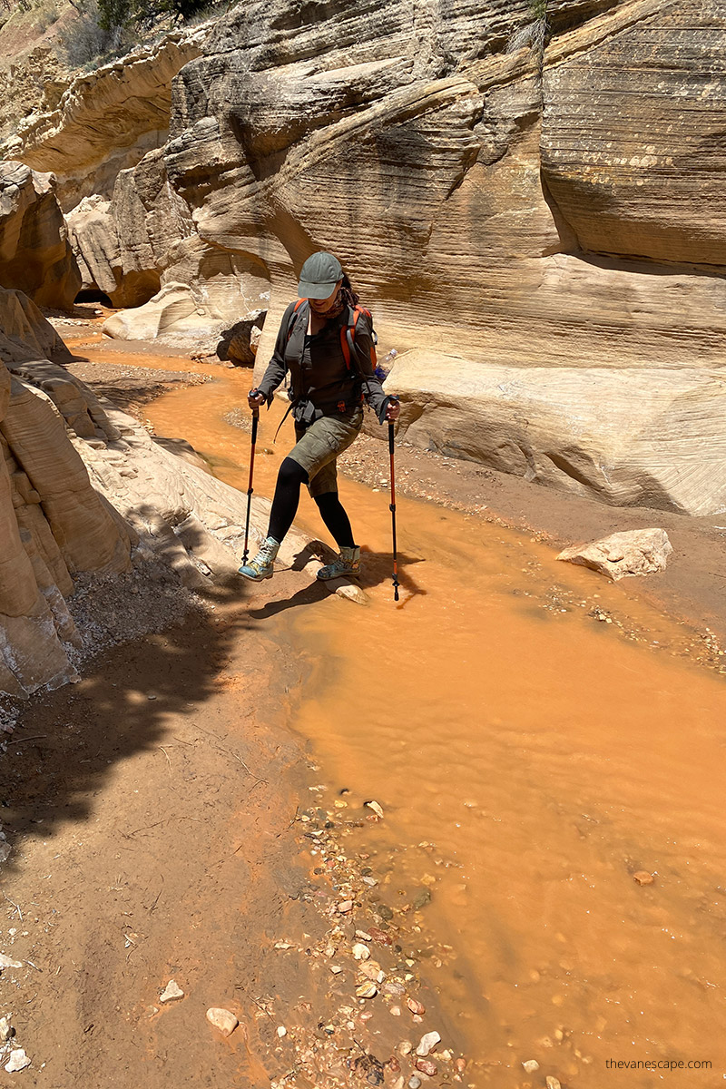 Agnes using hiking poles while crossing the water in Willis Creek Utah to keep her balance.