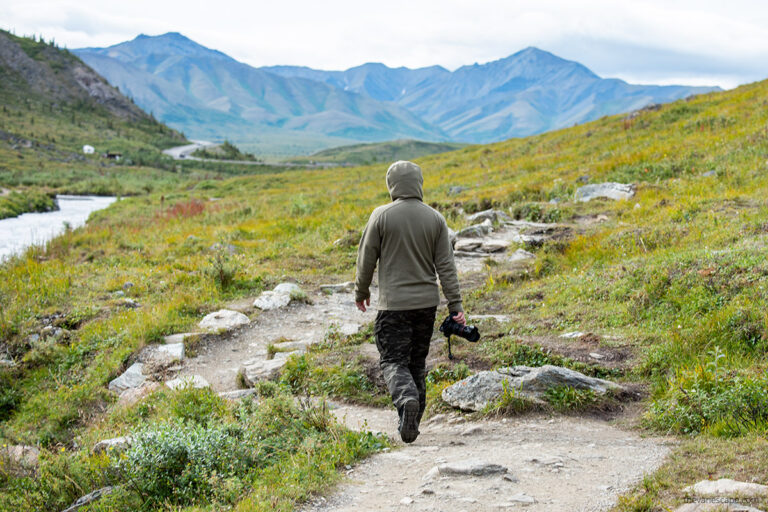 The Best Hikes in Denali National Park