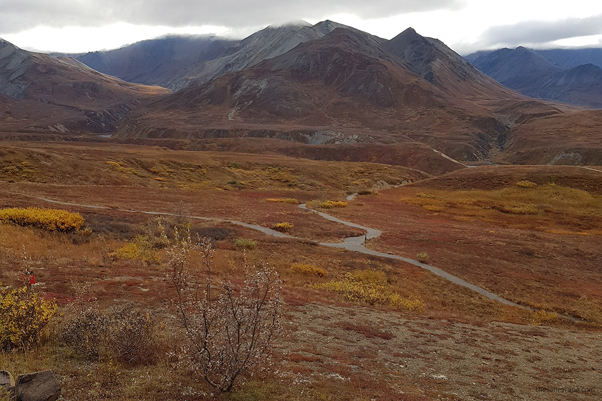 fall colors near Eielson Visitor Center hiking area with one of the best hikes in Denali National Park