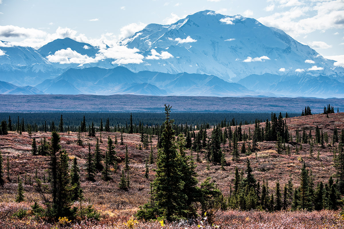 the view of Mount Denali the highest peak in North America from McKinley River Bar Trail at Mile 85 in the Wonder Lake area.