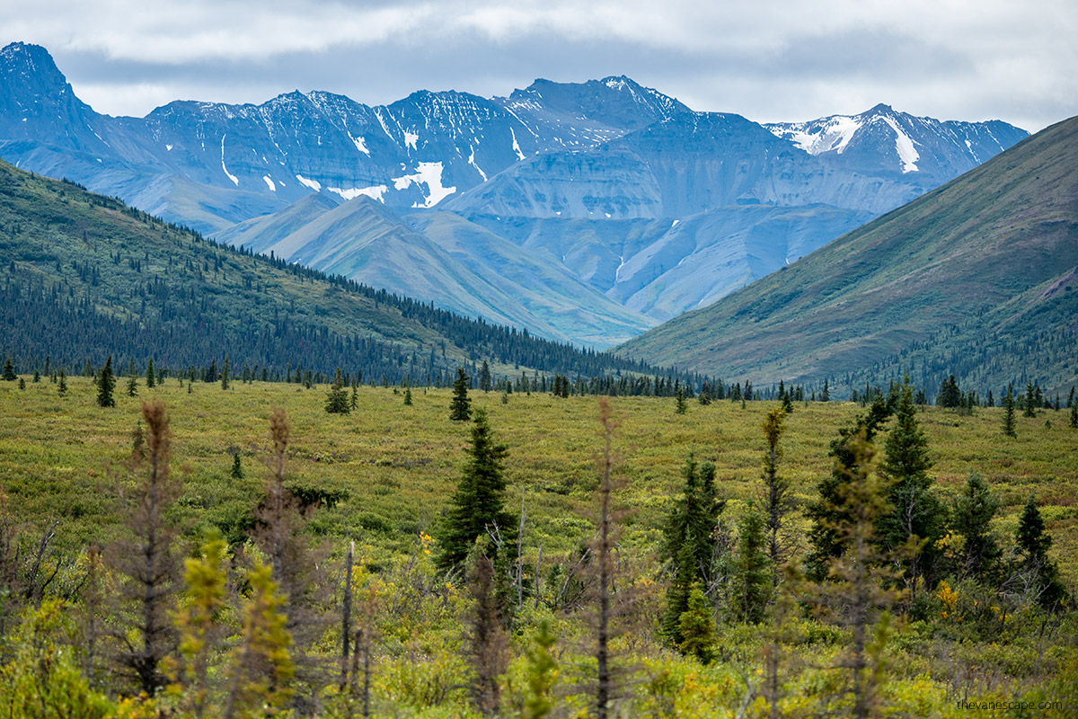 the view of mountains and forest from one of the easiest and best hikes in Denali:  Mountain Vista Trail