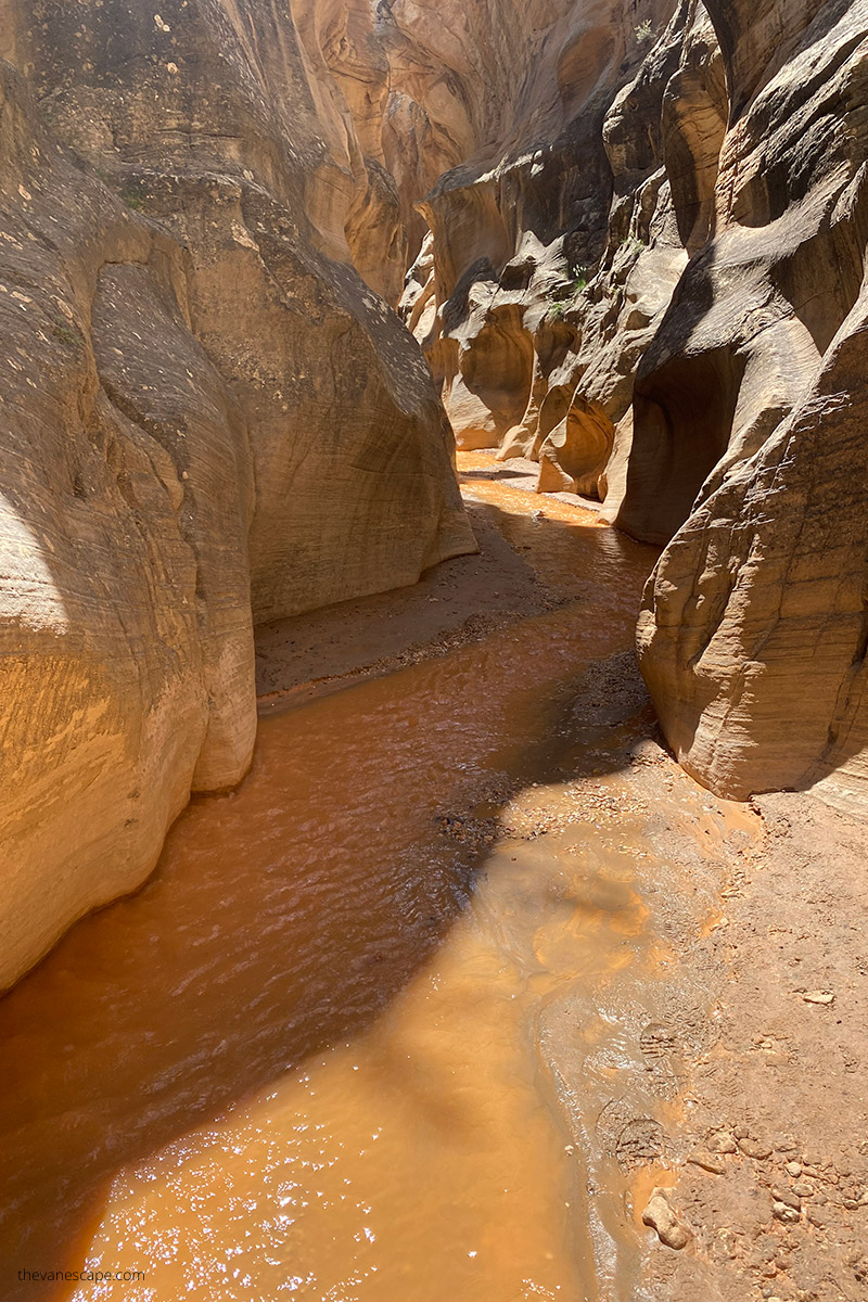 the walls of the canyon in one of the narrowest places with yellow tint water
