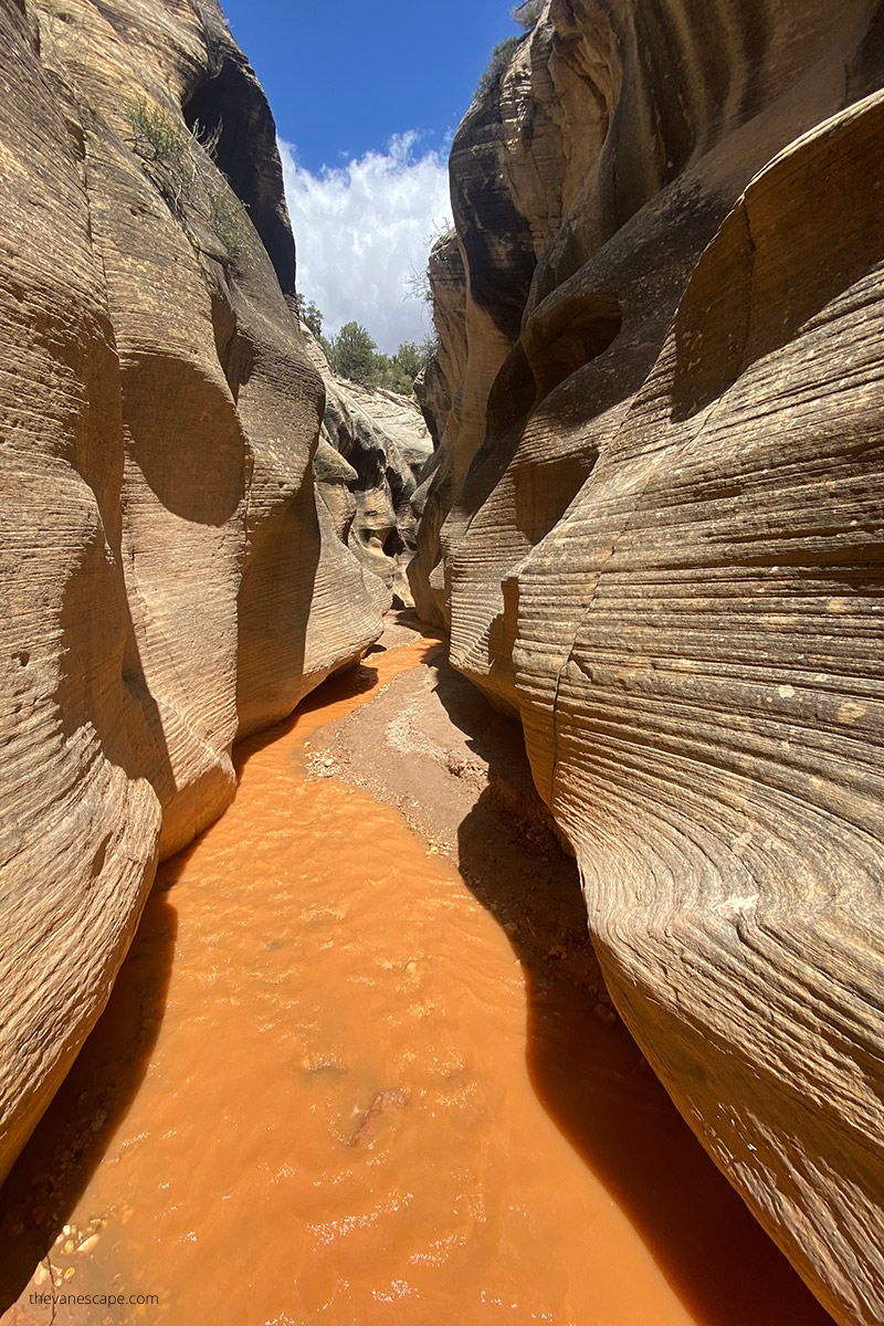 the walls of the Willis Creek slot canyon in one of the narrowest places with yellow water between walls