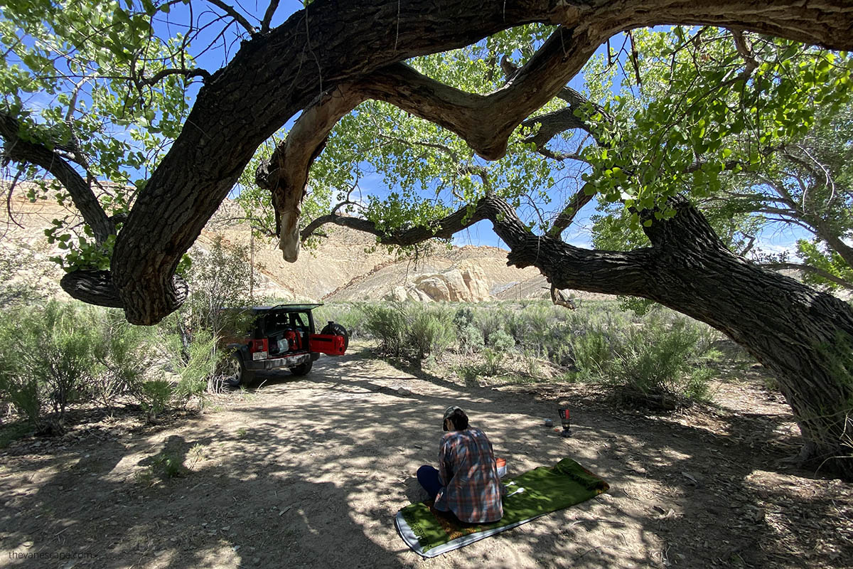 Agnes sitting in the shade under a huge cottonwood tree while camping along the cottonwood canyon road