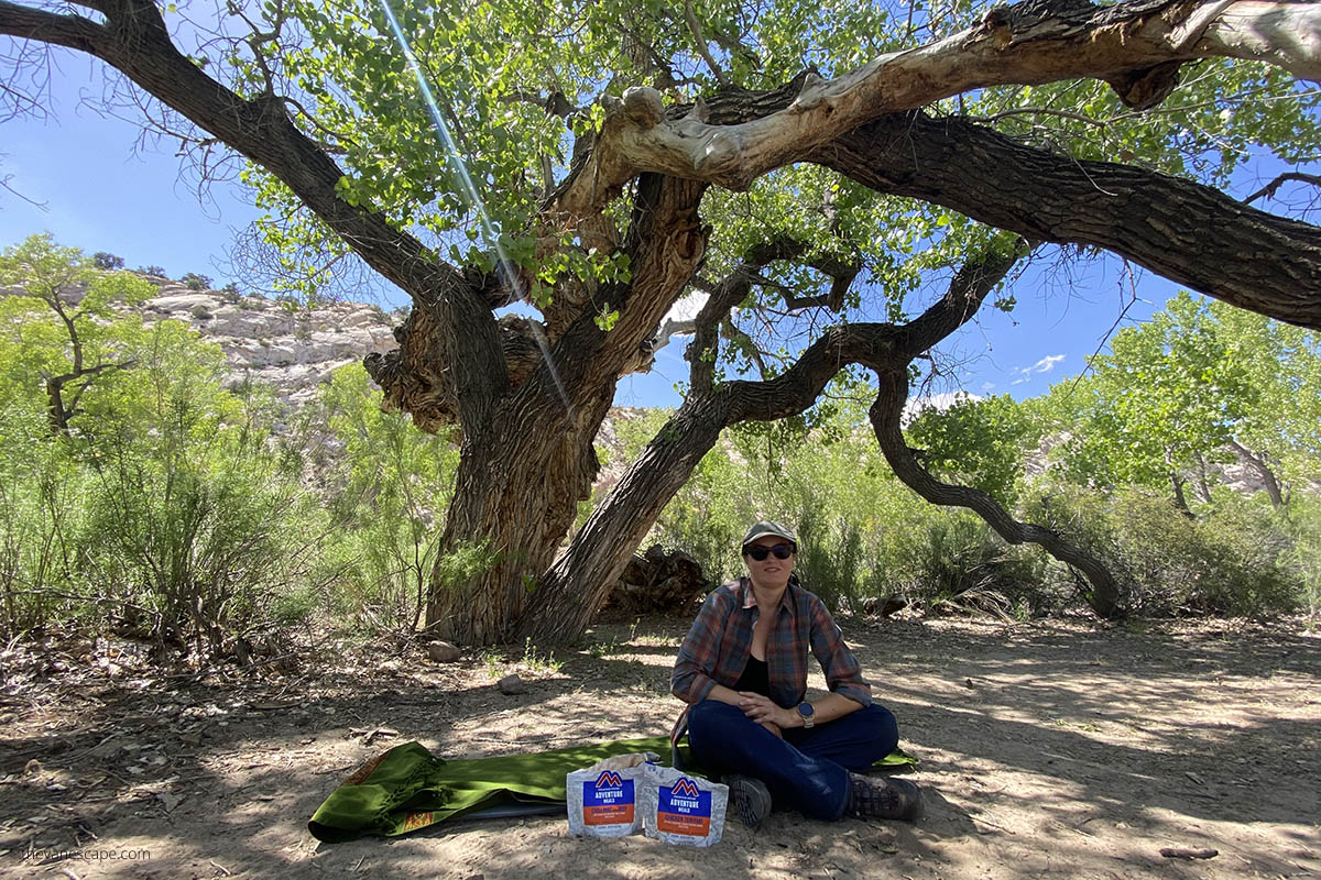 Agnes Stabinska, the author, is sitting in the shade under a huge cottonwood tree while camping along the road