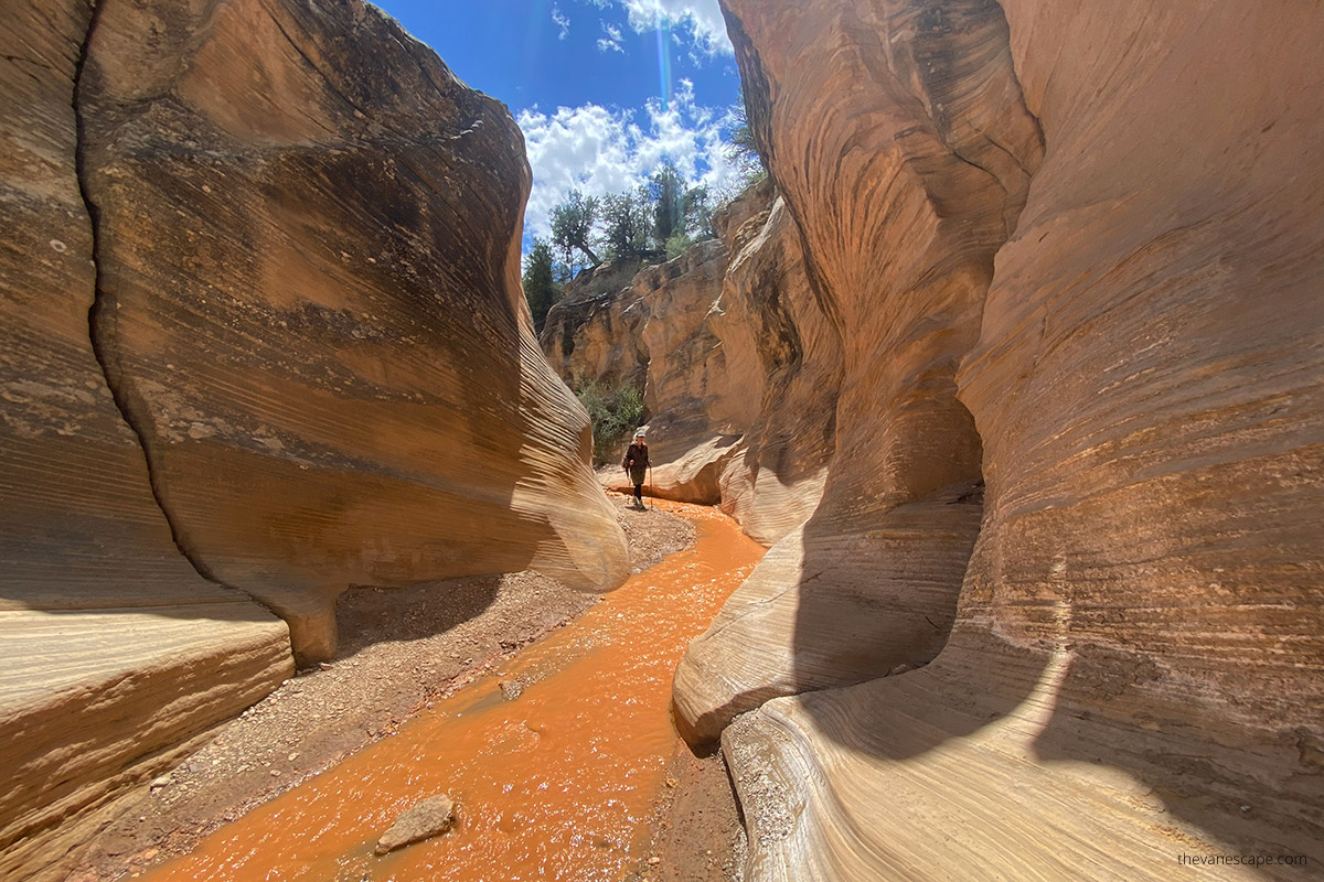 Agnes is hiking Willis Creek Slot Canyon on a sunny day, the water in the stream is yellow, and the walls of the narrows are also light yellow.