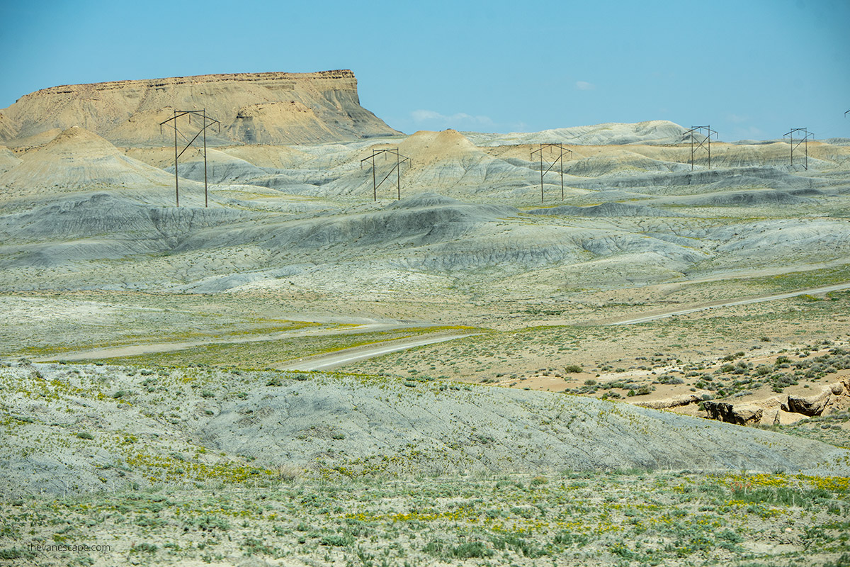 spring scenery on cottonwood canyon road - gray buttes with yellow flowers