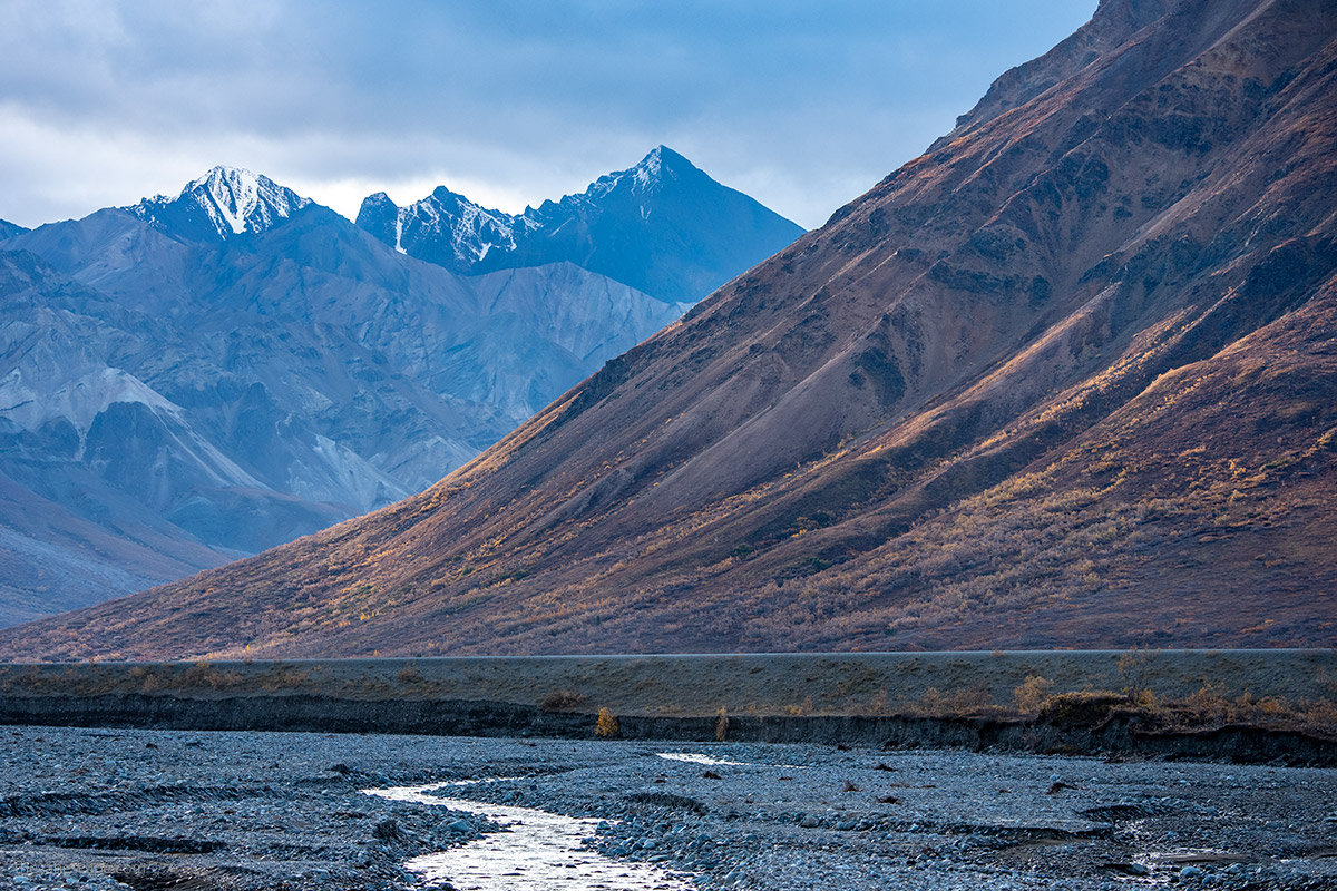 View of the mountains and the river in the afternoon sun on Denali in the fall