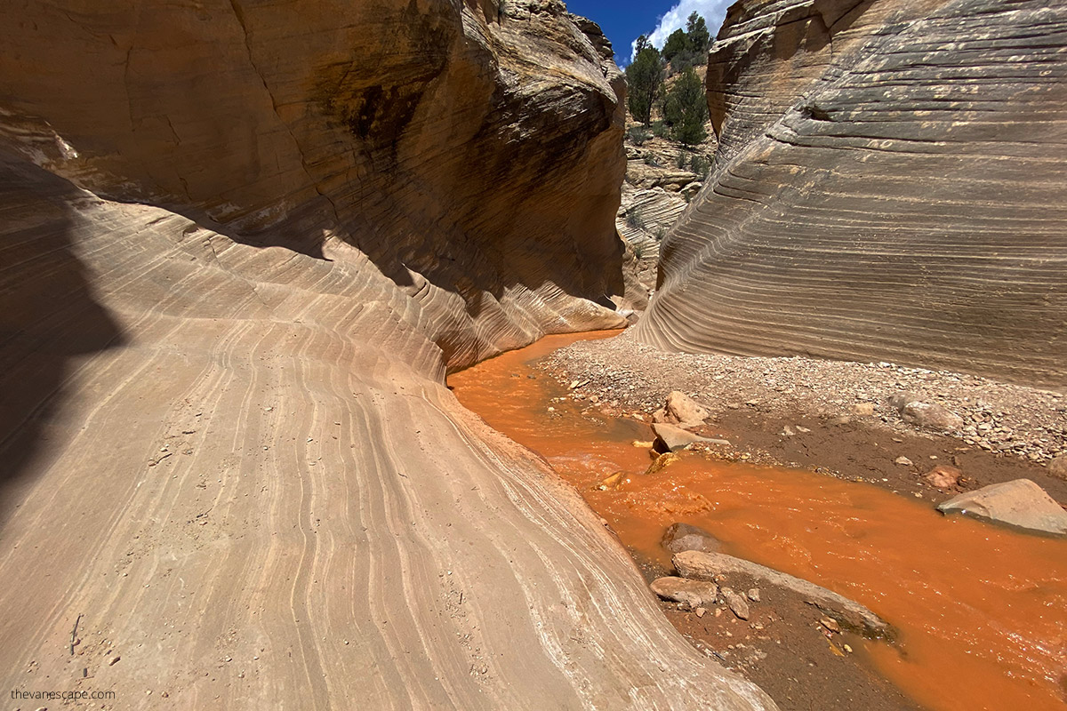 the striped texture of the narrow walls of the slot canyon in Willis Creek with yellow water between walls