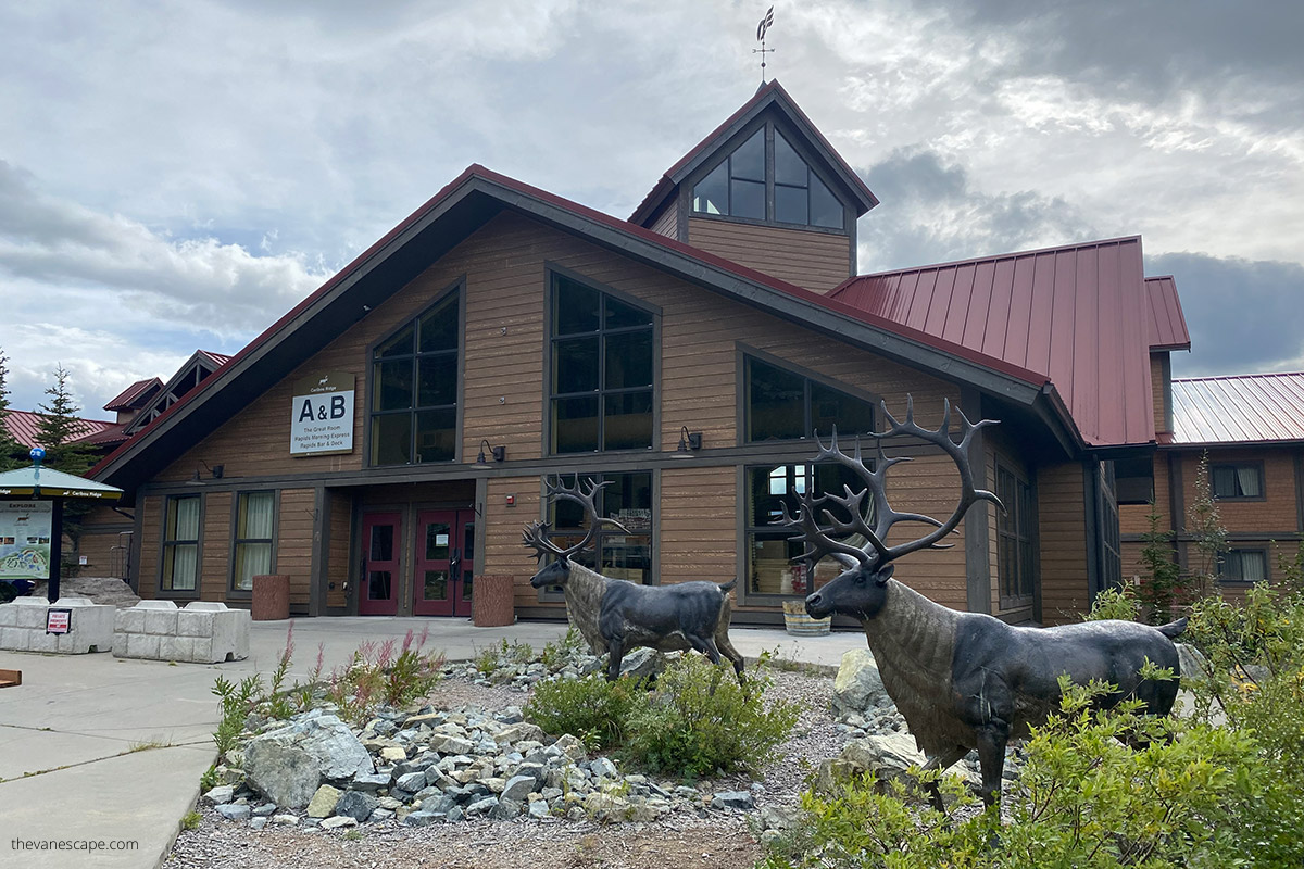 caribou statues at the front of  buildling of hotel near denali