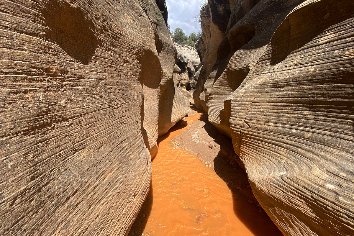 the striped texture of the narrow walls in Willis Creek Slot Canyon with yellow water flowing between walls