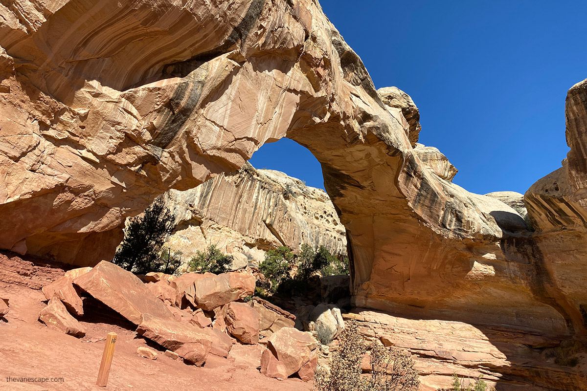 hickman bridge in capitol reef.