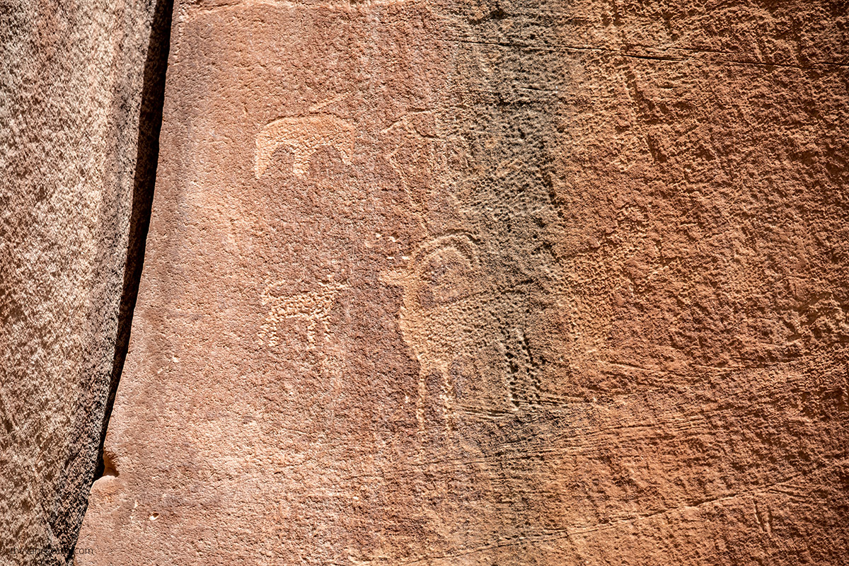 Capitol Reef Petroglyphs - goat and bear on the rocks.