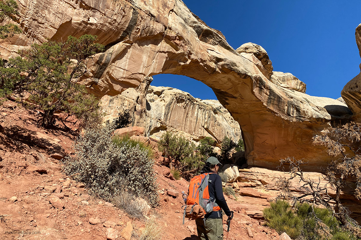 Agnes with orange backpack and trekking poles hiking to Hickman Bridge.