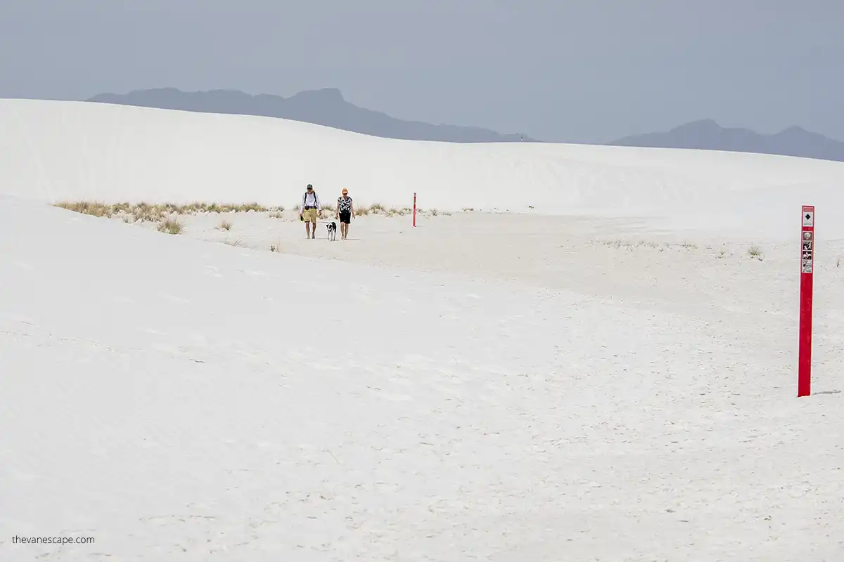 People hike on dunes with their dog, which is on the lash, as it's mandatory in white sands national park to keep pets on the lash.