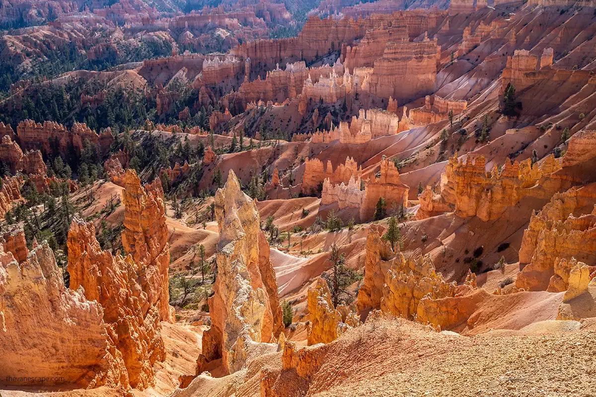 hoodos in Bryce Canyon National Park before sunset.
