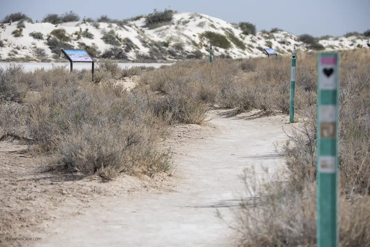 Playa Trail in White Sands - one of the best activity in the park.