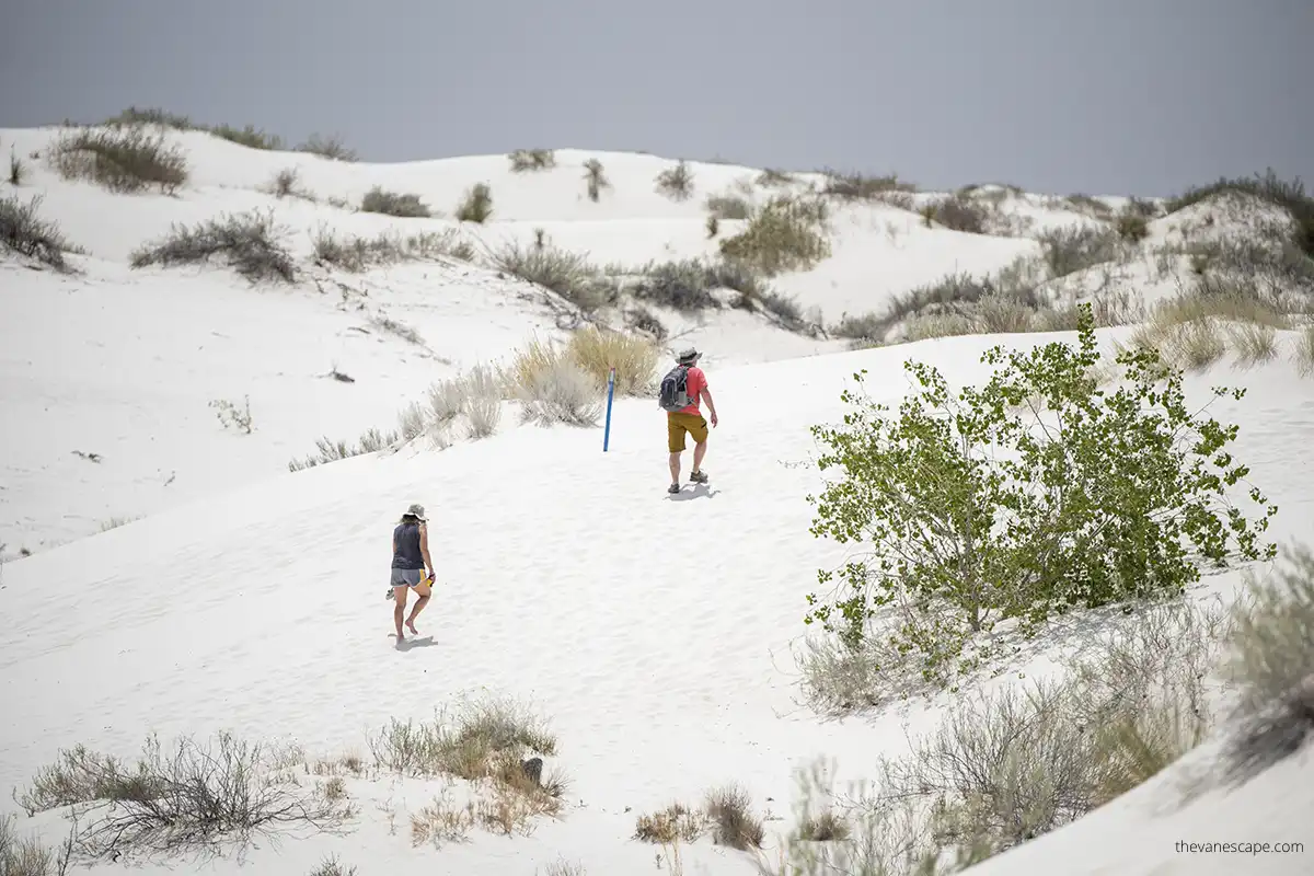 Family hiking in White Sands National Park.