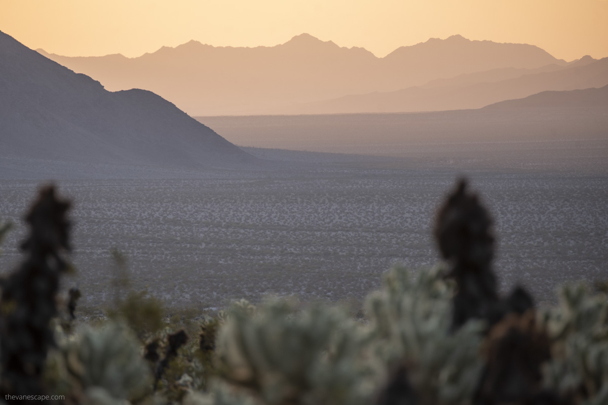 Sunset over desert the mountain view from Cholla cactus garden.