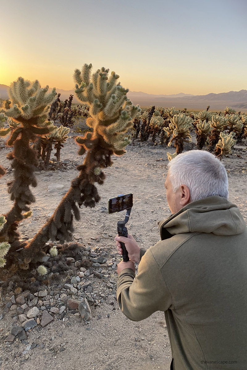 Chris taking pictures of cacti  during sunset which is one of the best activity in Joshua Tree National Park. 