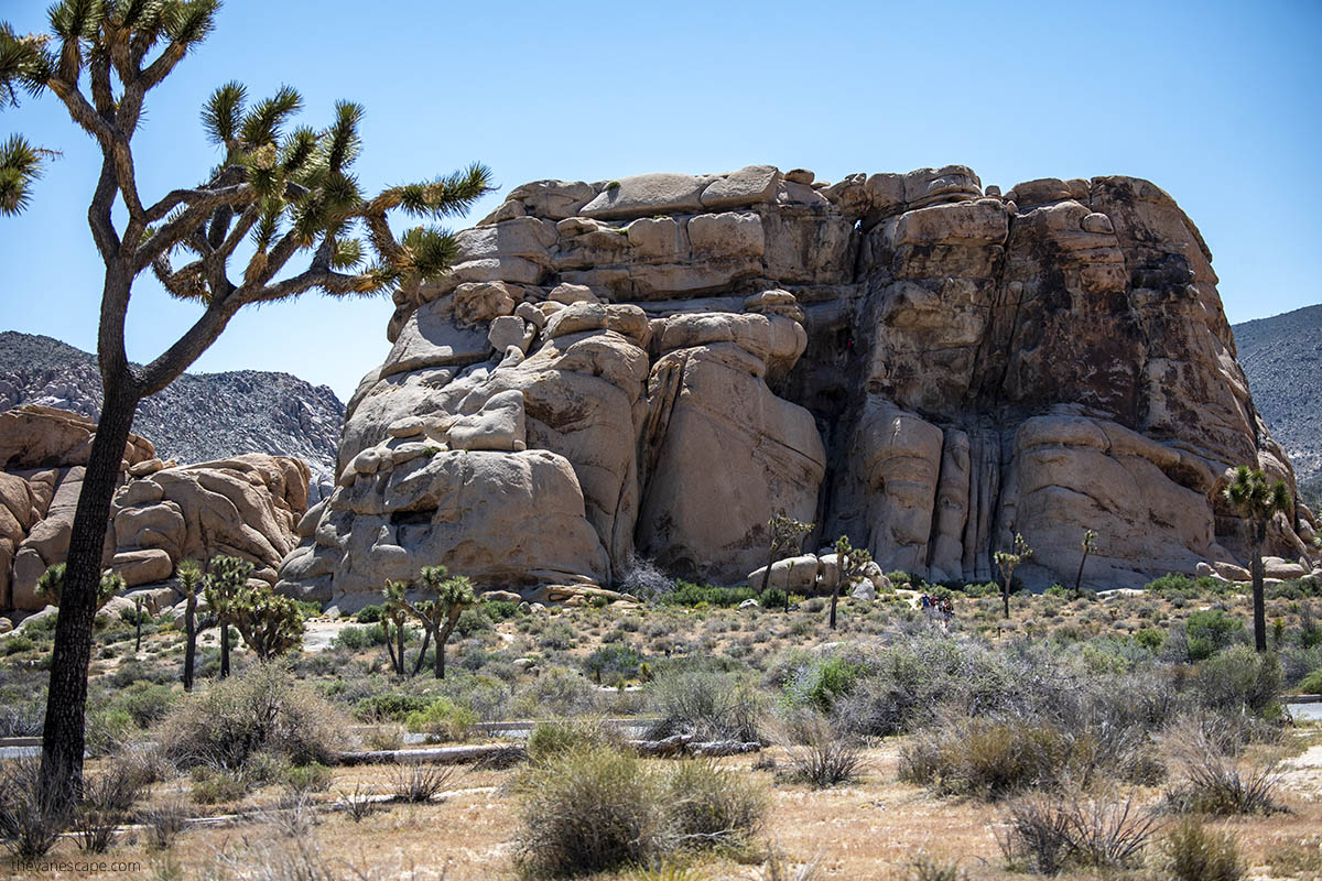 Hidden Valley in Joshua Tree Nationa Park.