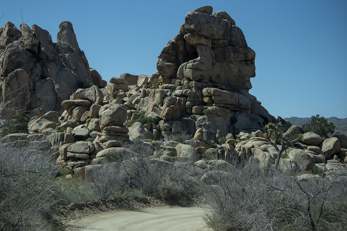 Hiking trails in Joshua Tree National Park.