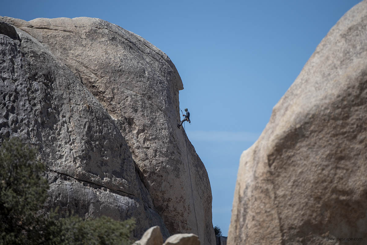 Rock climbing in Joshua Tree.