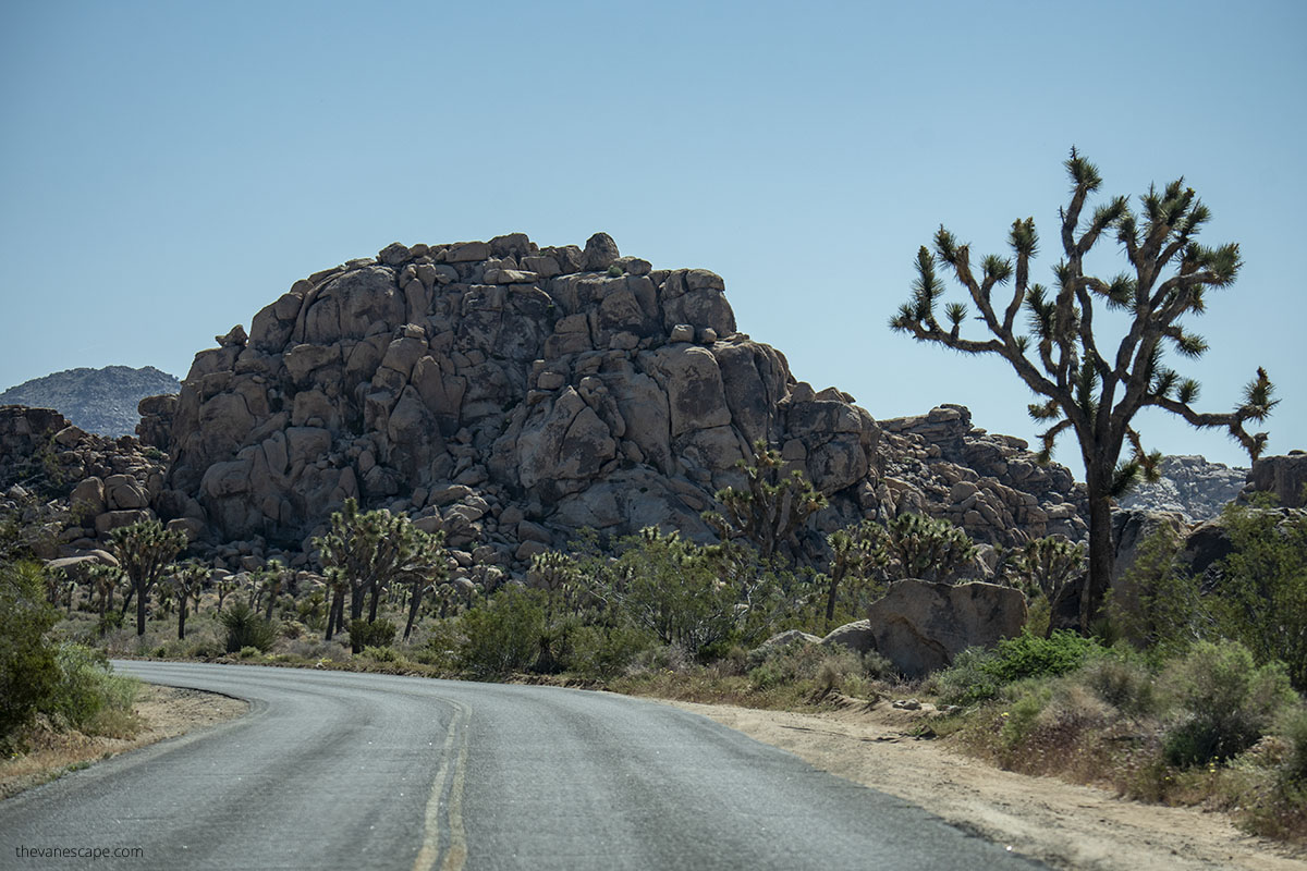 Scenic drive in Joshua Tree.