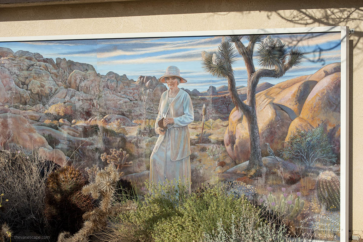 Mural in Joshua Tree Visitor Center.