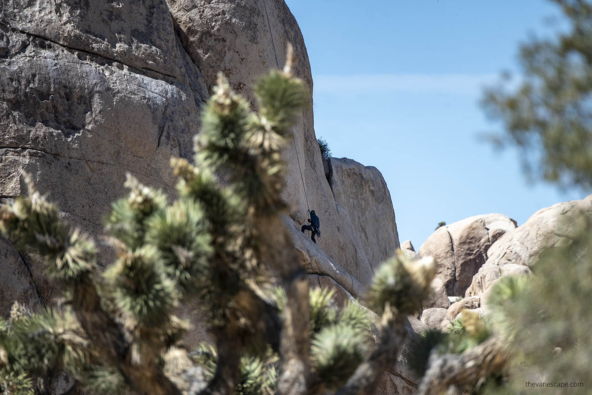 Rock climbing in Joshua Tree.