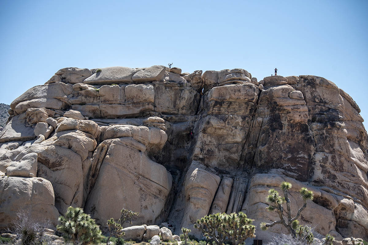 Rock climbing in park.